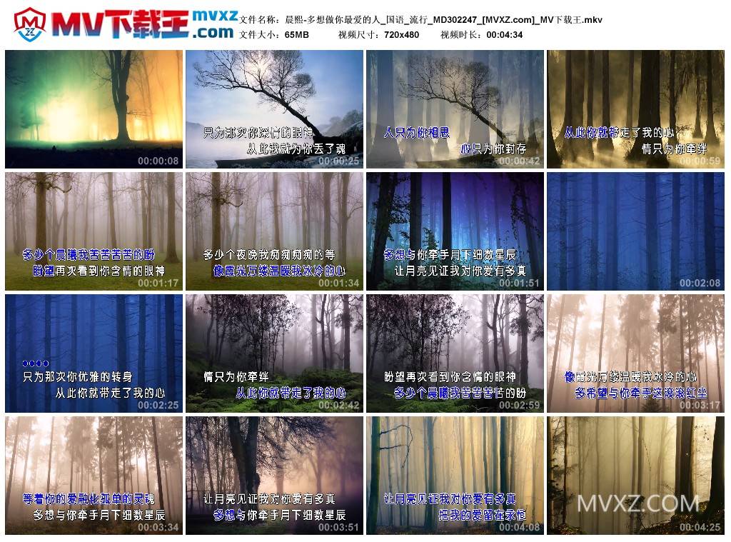 晨熙-多想做你最爱的人_国语_流行_MD302247